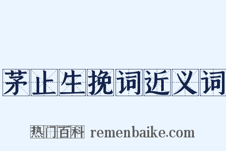 茅止生挽词近义词是什么意思的图片